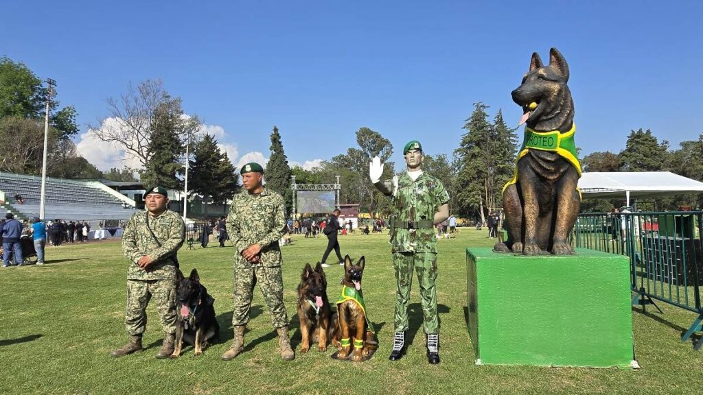 Por qué se le llama binomio canino