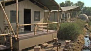 ¿Buscas una escapada? Descubre estas cabañas de glamping cerca de CDMX en Reino Animal