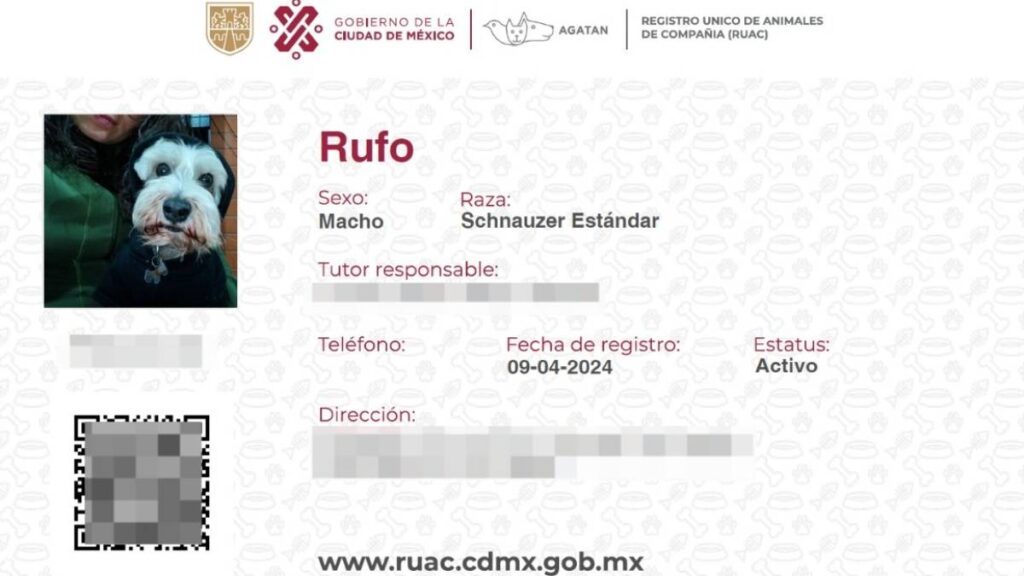 Registro para mascotas en CDMX: cómo sacar la CURP de mi perro o gato