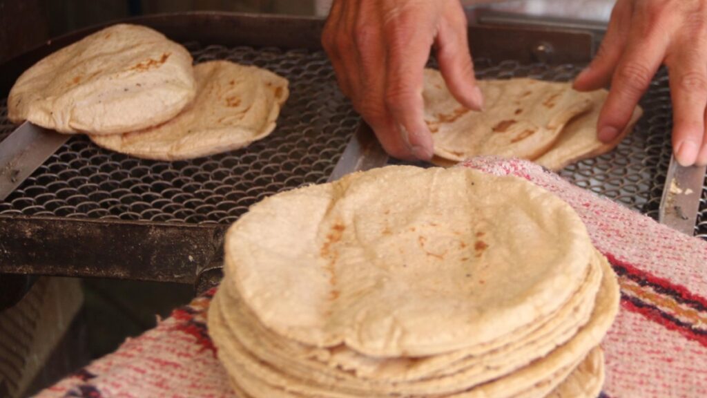 El kilo de tortilla en CDMX sigue entre 22 y 23 pesos, pero tortilleros advierten que el aumento en insumos podría elevar su precio.