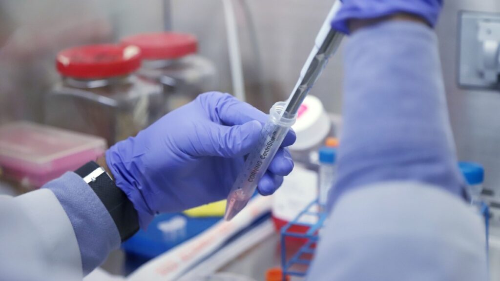 Cada 26 de marzo se conmemora el Día Internacional de la Prevención del Cáncer Cervicouterino.