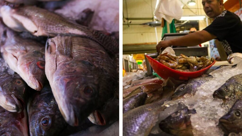 Cofepris supervisa venta de pescados y mariscos