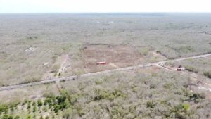 Denuncian ecocidio en Cuxtal: el pulmón verde más grande de Mérida