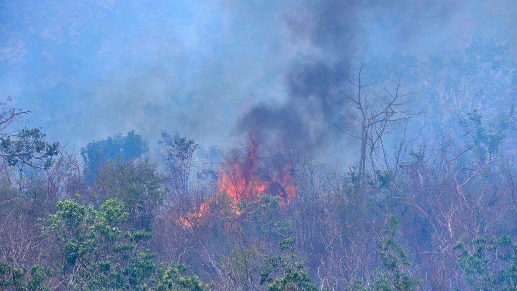 Incendio forestal en Acapulco y Coyuca cubre la bahía con densa capa de humo