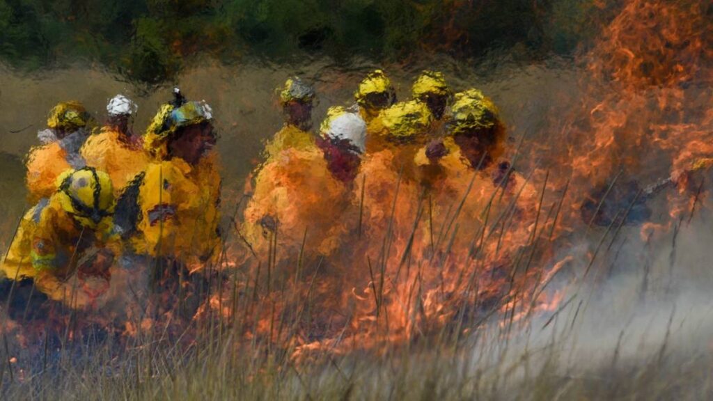 alerta: alto riesgo de incendios forestales en 9 estados