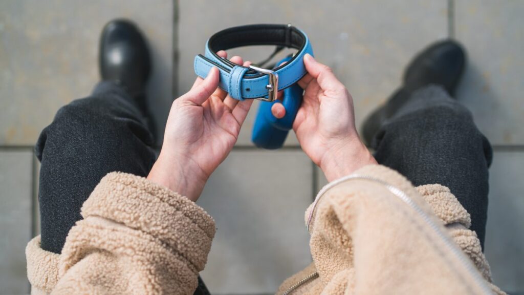 Hallan a perro perdido gracias a estrategia publicitaria y tecnológica