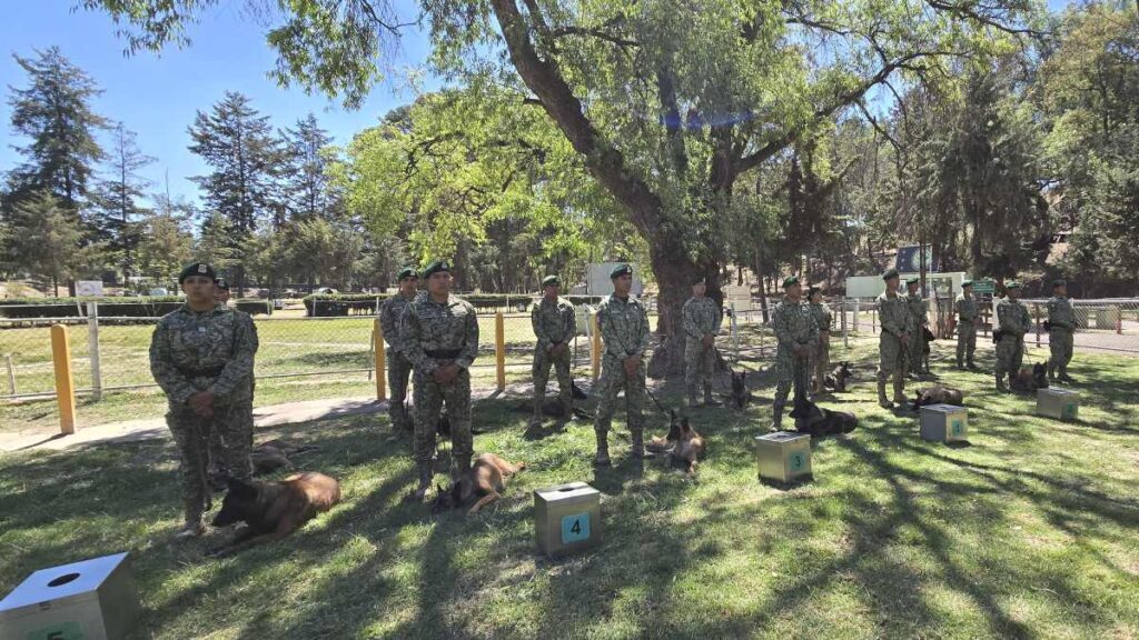 Binomios caninos del Ejército Mexicano: así es el día a día de los perros de la Sedena