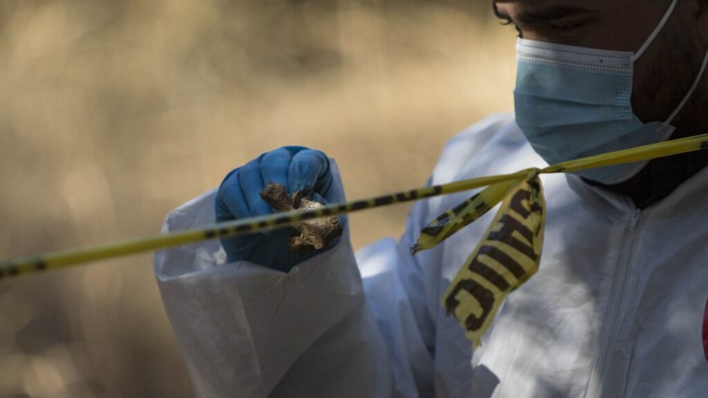 paredones-baleados-y-restos-calcinados-lo-que-hallaron-en-campo-de-exterminio-de-reynosa