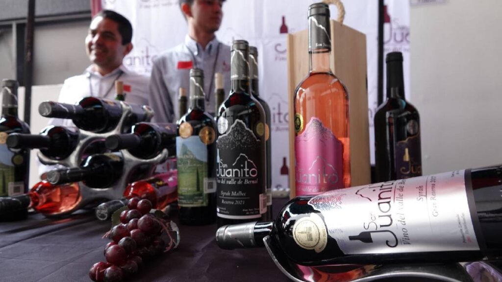 Querétaro zona vitivinícola vinos