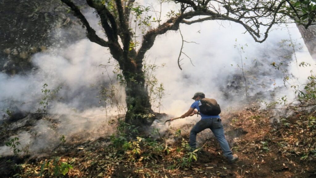 reanudan-combate-a-incendio-en-tepoztlan-morelos-reportan-100-hectareas-afectadas