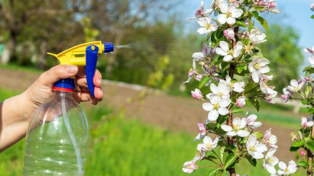 Remedio casero contra las malas hierbas; fácil de hacer y tener un jardín perfecto
