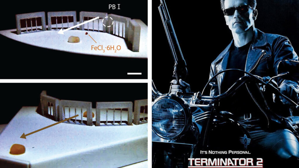 El robot líquido que recuerda al T-1000 de "Terminator 2"