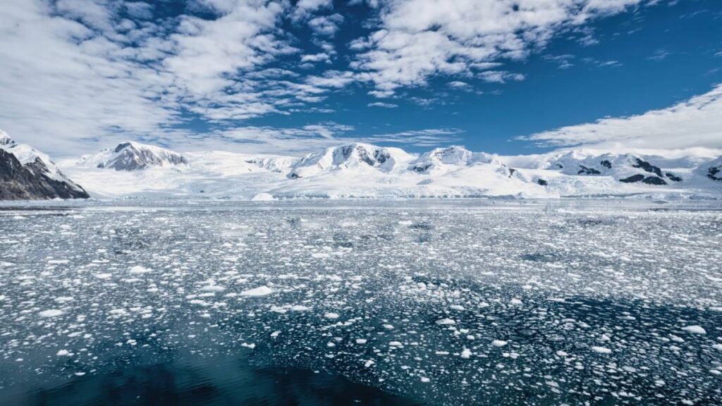 ¿Por qué se está enfriando el océano Antártico? Esto dice la ciencia