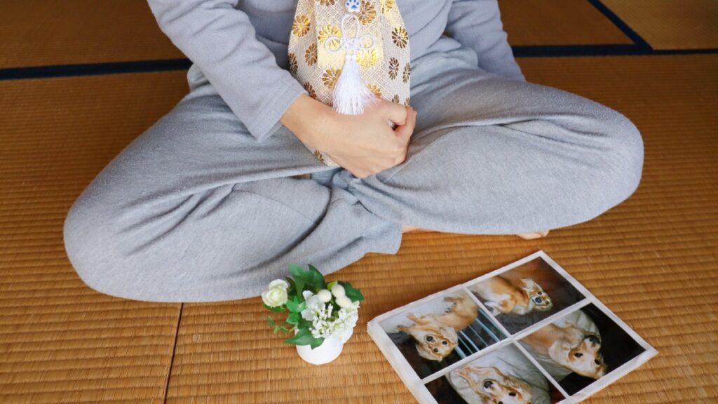 ¿Cómo superar la muerte de una mascota?