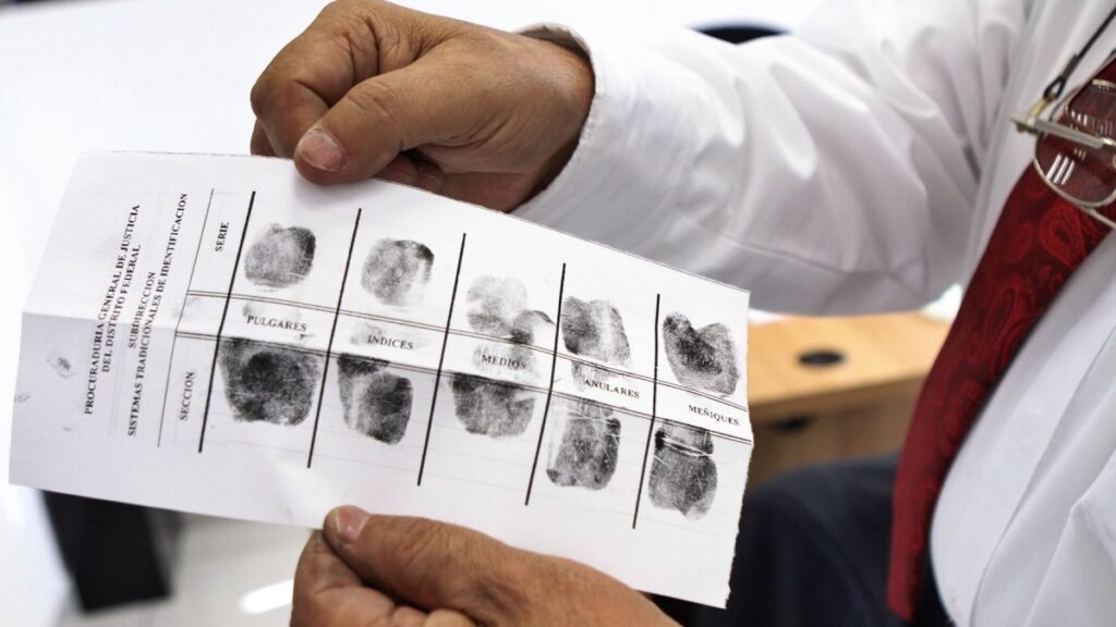 en-que-estados-ya-se-tramita-la-curp-biometrica-te-contamos-en-donde-y-cuales-son-los-requisitos