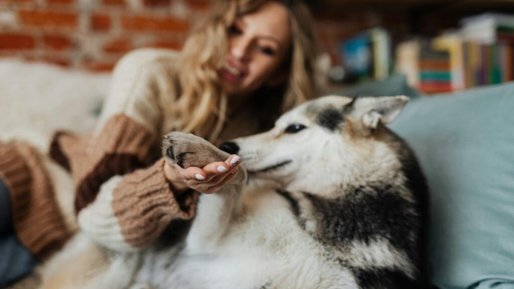 mascota bienestar emocional