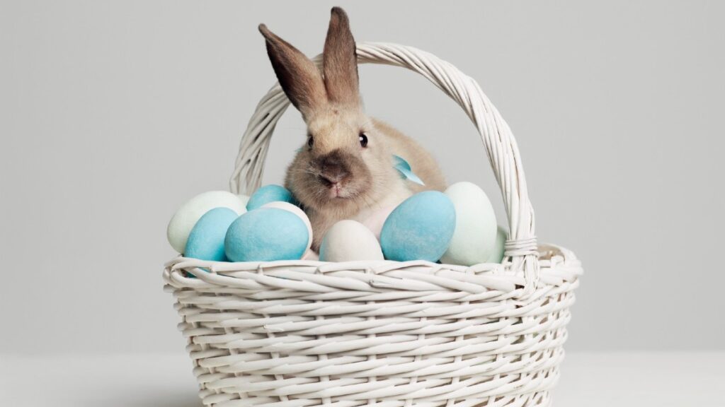 Origen Conejo Pascua