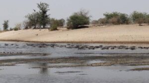 La Tierra pierde agua y los científicos lanzan alertas
