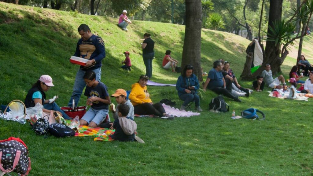 Ve qué puedes llevar al Picnic nocturno en el Bosque de Aragón.
