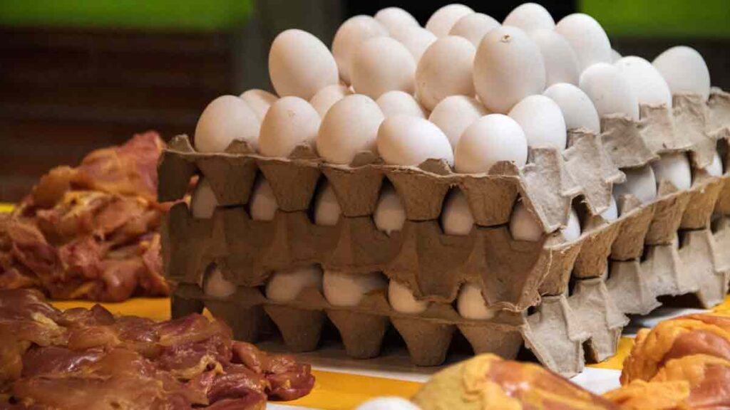 Pollo Huevo Gripe Aviar