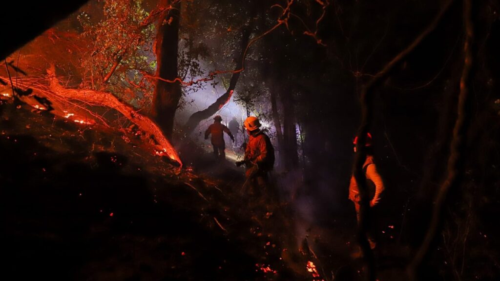 Por el viento, incendio forestal en Tepoztlán se propaga; CEPCM implementa acciones para proteger a la población