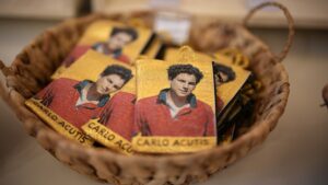 Él es Carlo Acutis, el primer santo millenial de la Iglesia Católica