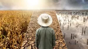 Sequía se mantiene estable a nivel nacional: 8.5% del país, afectado