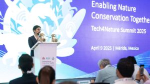 Tech4Nature: así usan inteligencia artificial para proteger jaguares en Yucatán