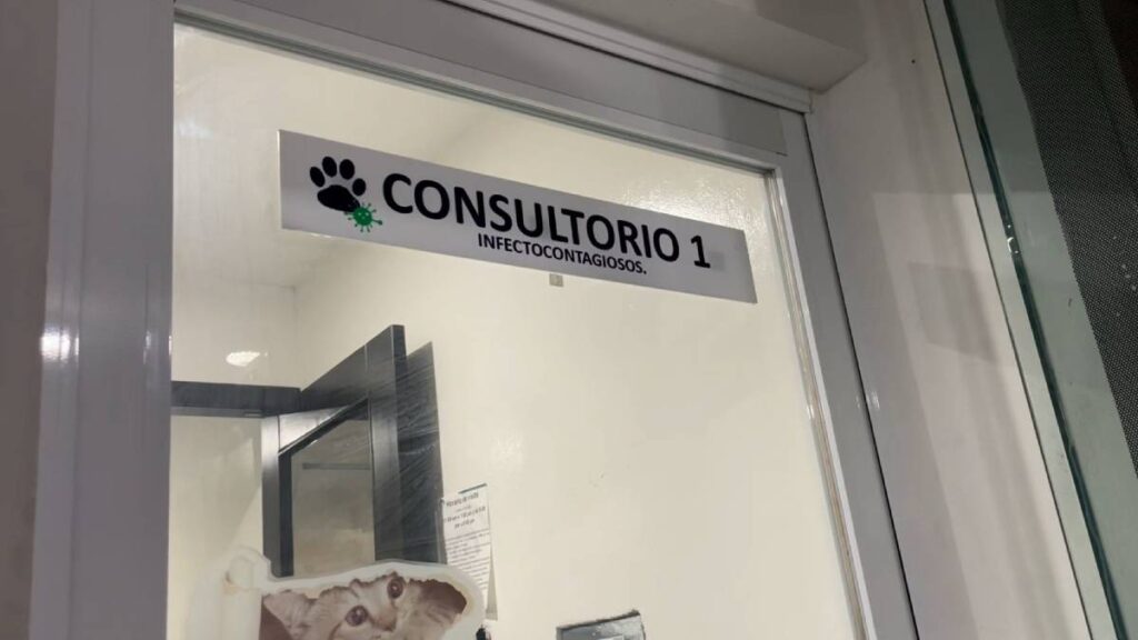 La dueña de la perrita golpeó a los médicos veterinarios.