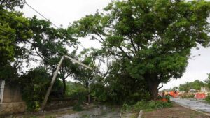 Clima México 2 de abril: se pronostican vientos intensos en estados del norte
