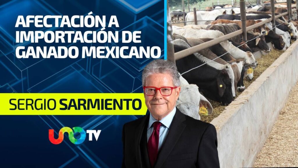 Afectación a la importación de ganado mexicano a EE.UU.