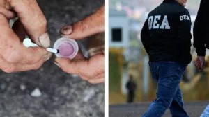 DEA advierte sobre “tusi”, la droga rosa que mezcla ketamina y fentanilo