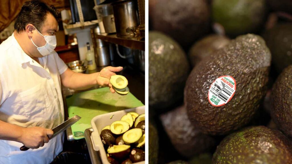 Este 5 de mayo, México envía más de 96 mil toneladas de aguacate a EE. UU.