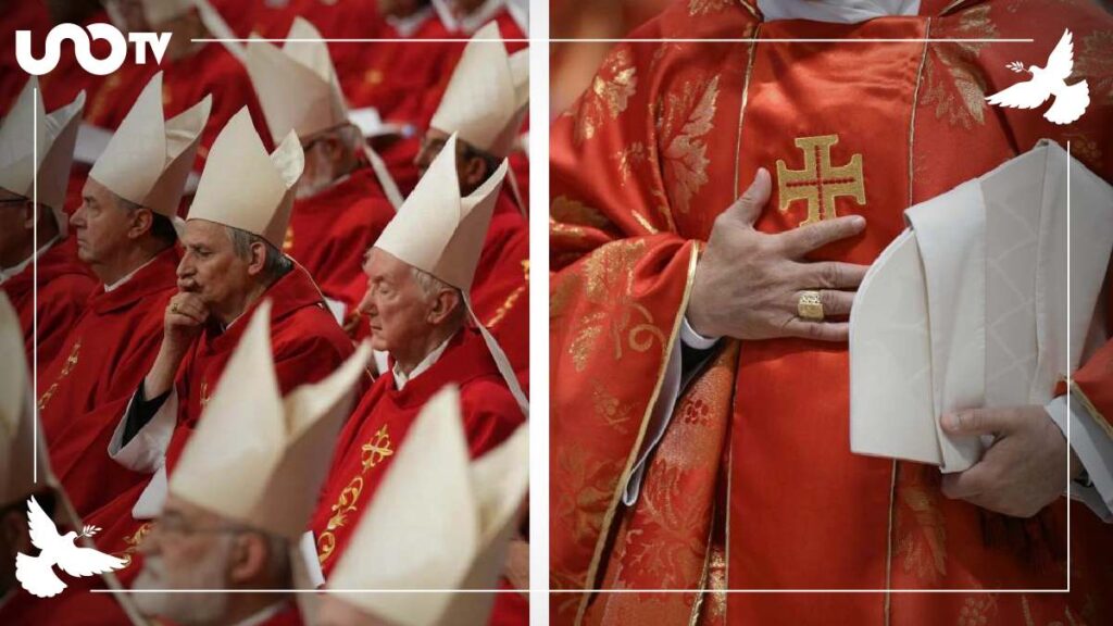 ¿Qué es un cardenal? Claves sobre los príncipes de la Iglesia que eligen al nuevo Papa