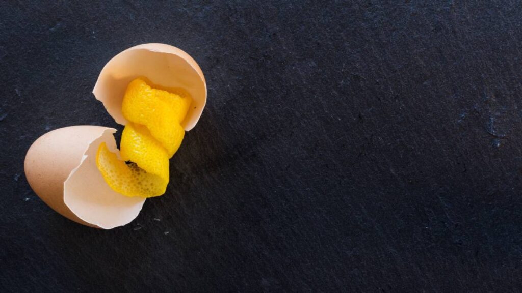 ¿Cáscaras de huevo y limón para las plantas? Ayuda, pero no tanto; aquí la explicación