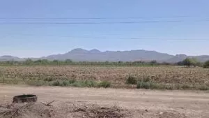 Chihuahua se queda sin ciclo agrícola por niveles críticos en presas; no pasaba desde 1995