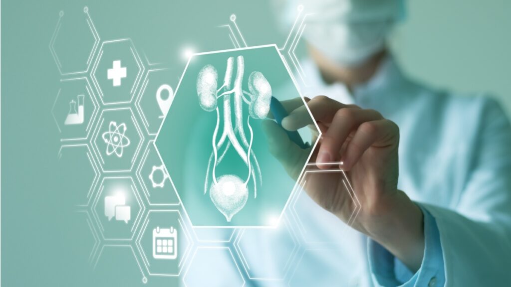 Un equipo de cirujanos lograron realizar el primer trasplante de vejiga en humanos, lo que es un hito de la medicina.