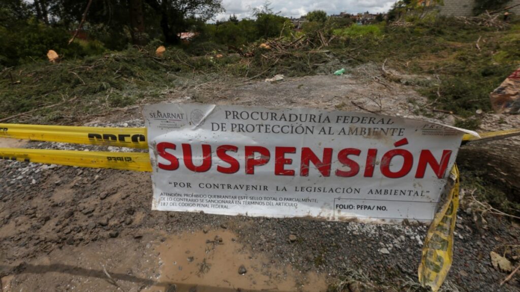 Clausura Profepa obras del proyecto Cayo Coco en Yucatán