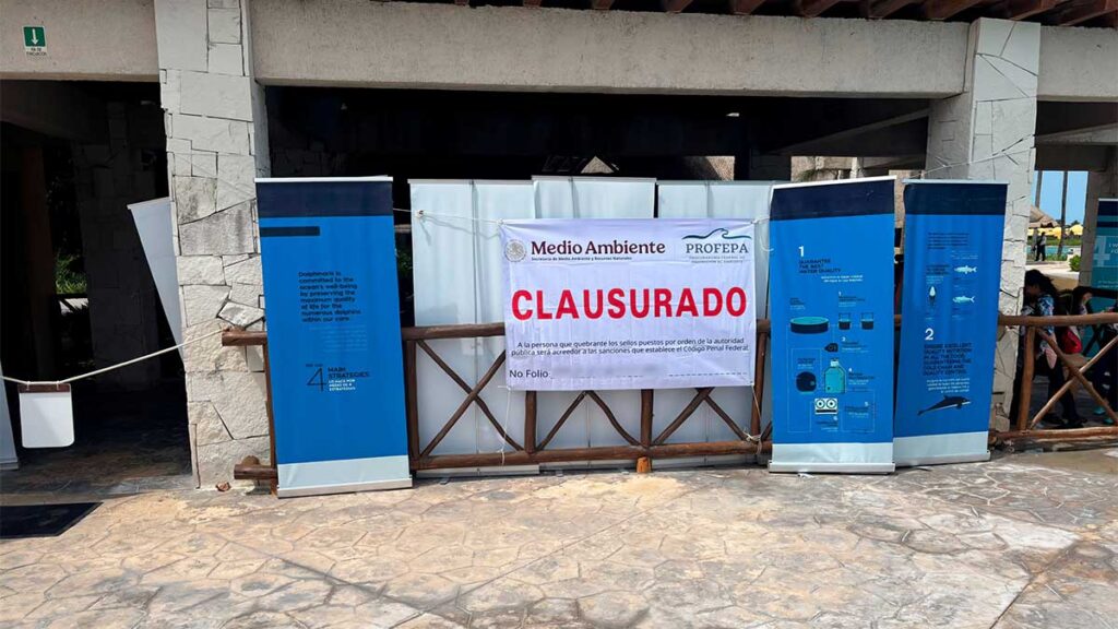 Clausura del delfinario en la Riviera Maya.