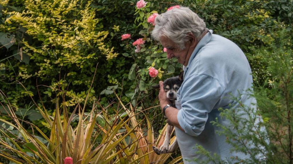 José Mujica falleció este martes a los 89 años