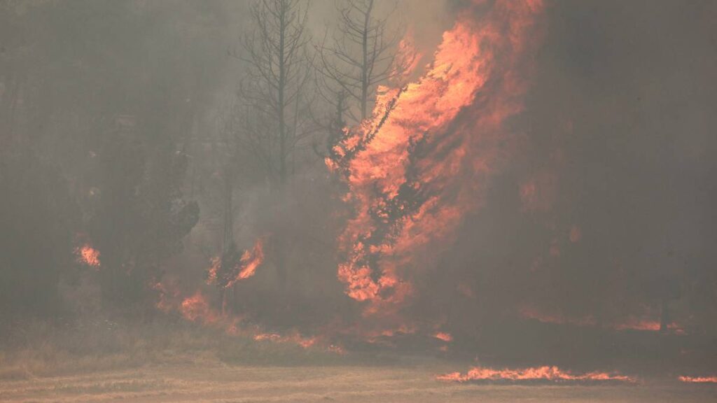 México también sufre los estragos: récord mundial de incendios forestales en 2024 golpea a América Latina