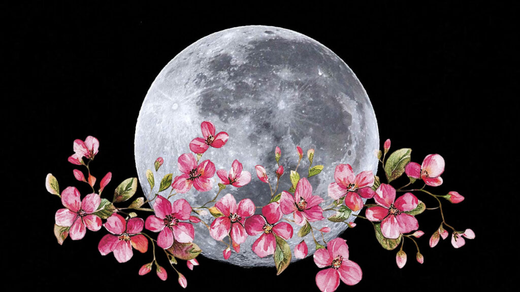 Luna De Flores