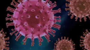 Nueva variante XFG de Covid-19 circula en México; experta explica por qué podría ser un riesgo para la salud