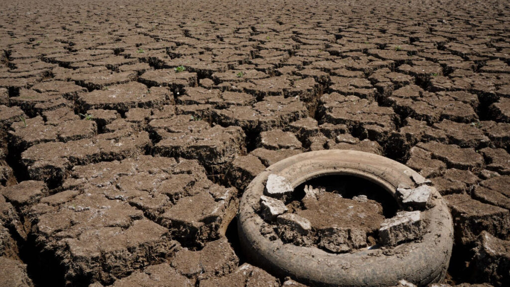 estados reportan 100% de sequia en su territorio 2025 mexico