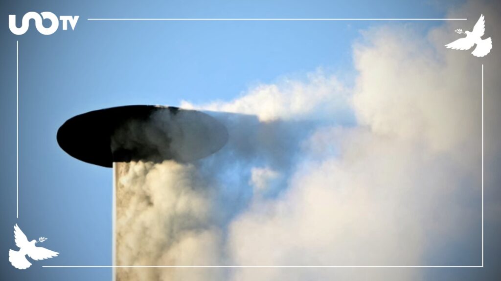 Reacciones Mexico Papa Humo Blanco