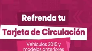 ¿Vives en Baja California y aún no refrendas tu tarjeta de circulación? Te contamos cómo hacer este trámite