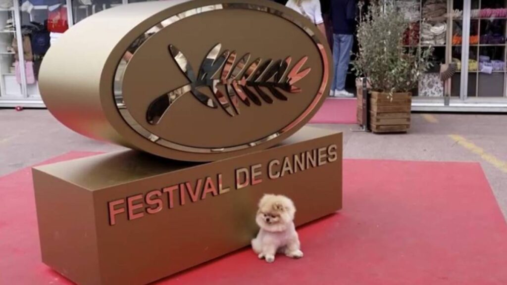 Star Cannes