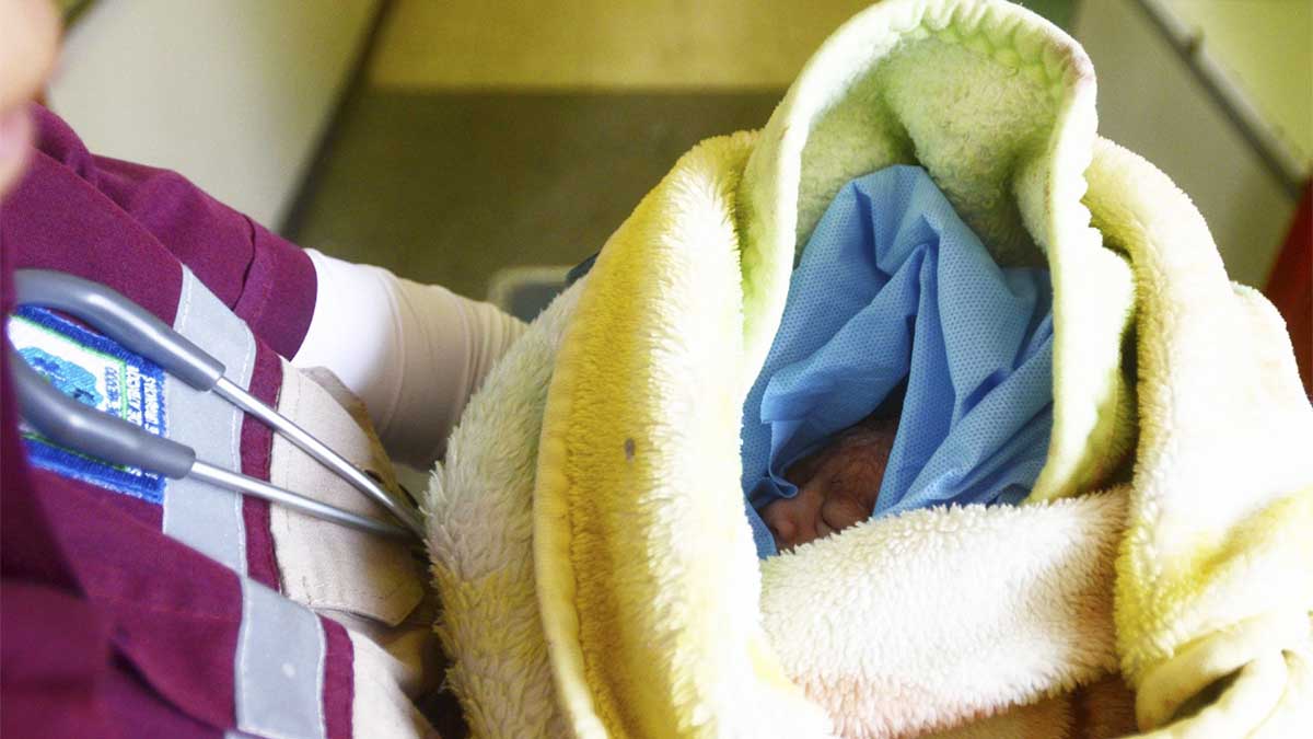 IMSS reconoce confusión y entrega de recién nacidas a familias distintas