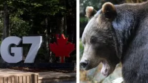 Cercas eléctricas y drones: así protege Canadá la cumbre del G7 de un ataque de osos