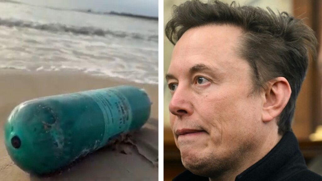 ¿Qué pasará con la basura espacial de Elon Musk en Tamaulipas?